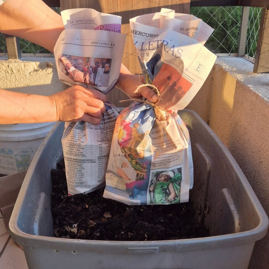 Empaques naturales de lombrices en papel de diario